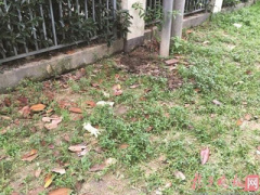 Ảnh bìa bài viết 370559