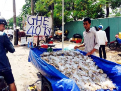 Ảnh bìa bài viết 371009