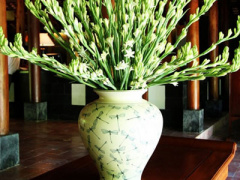 Ảnh bìa bài viết 370921