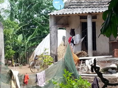 Ảnh bìa bài viết 370970