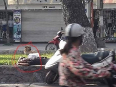 Ảnh bìa bài viết 371239