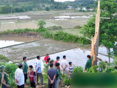 Ảnh bìa bài viết 371230