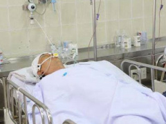 Ảnh bìa bài viết 371145