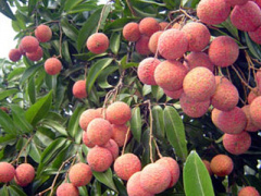 Ảnh bìa bài viết 371262