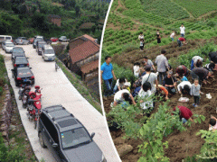 Ảnh bìa bài viết 371426