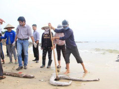 Ảnh bìa bài viết 371394
