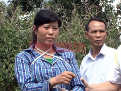 Ảnh bìa bài viết 371410