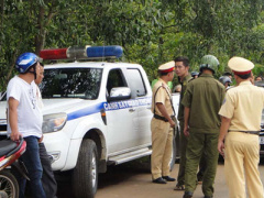 Ảnh bìa bài viết 371276