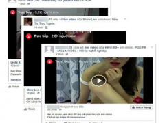 Ảnh bìa bài viết 371419