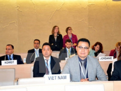 Ảnh bìa bài viết 371806