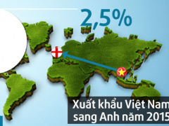Ảnh bìa bài viết 372155