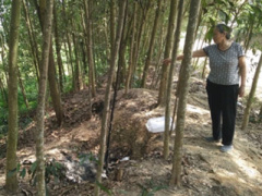 Ảnh bìa bài viết 372225