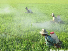 Ảnh bìa bài viết 372187