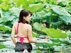 Ảnh bìa bài viết 372197