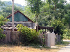 Ảnh bìa bài viết 372246