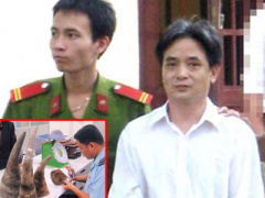 Ảnh bìa bài viết 372358