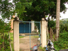 Ảnh bìa bài viết 372379