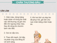 Ảnh bìa bài viết 372342