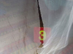Ảnh bìa bài viết 372345