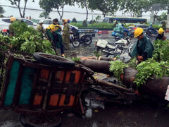 Ảnh bìa bài viết 372696