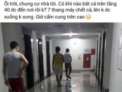 Ảnh bìa bài viết 372601