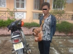 Ảnh bìa bài viết 372448