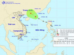 Ảnh bìa bài viết 372770
