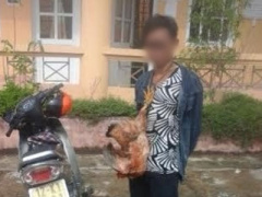 Ảnh bìa bài viết 372753