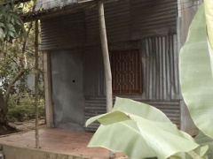 Ảnh bìa bài viết 373366