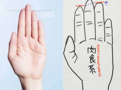 Ảnh bìa bài viết 373476