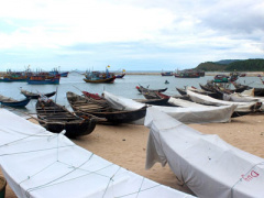 Ảnh bìa bài viết 373404