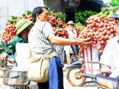 Ảnh bìa bài viết 373349