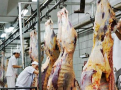 Ảnh bìa bài viết 373815
