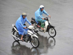 Ảnh bìa bài viết 373692