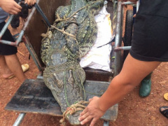 Ảnh bìa bài viết 373637