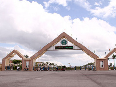 Ảnh bìa bài viết 373985