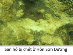 Ảnh bìa bài viết 374146
