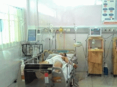 Ảnh bìa bài viết 374169