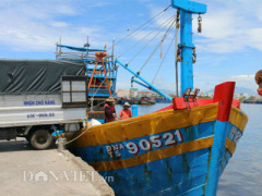 Ảnh bìa bài viết 374204