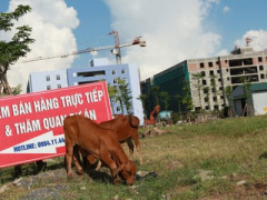 Ảnh bìa bài viết 374295