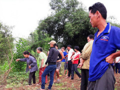 Ảnh bìa bài viết 374331
