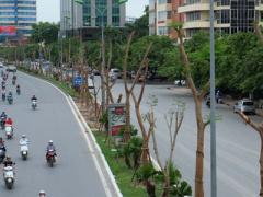 Ảnh bìa bài viết 374289