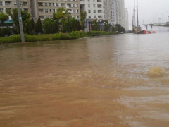 Ảnh bìa bài viết 374638
