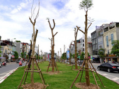 Ảnh bìa bài viết 374583
