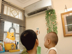 Ảnh bìa bài viết 374542