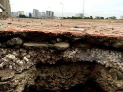 Ảnh bìa bài viết 374702
