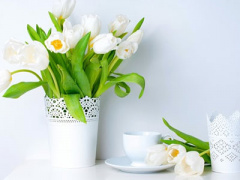 Ảnh bìa bài viết 374483