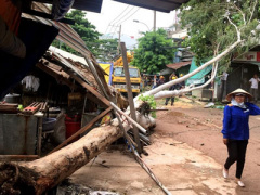 Ảnh bìa bài viết 374929