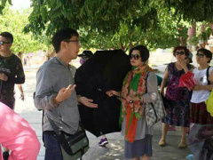 Ảnh bìa bài viết 374973