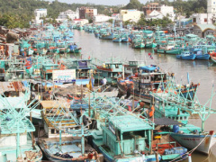 Ảnh bìa bài viết 374912